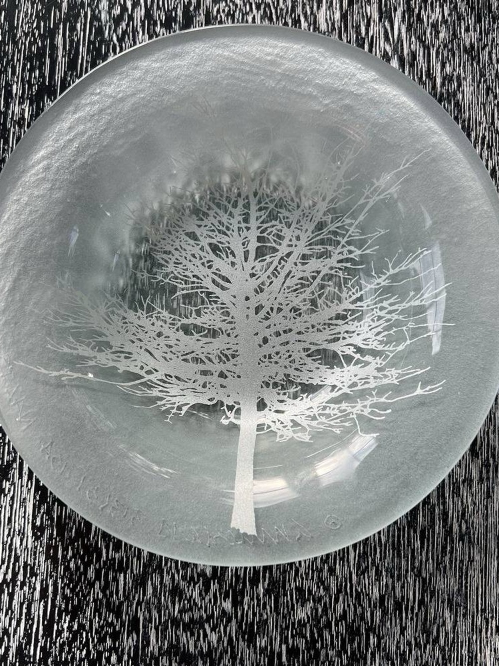 Etched Glass Tree Decorative Bowl - Clear/White